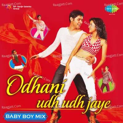 Odhani Udh Udh Jaye Baby Boy Mix - Sanjay Sawant