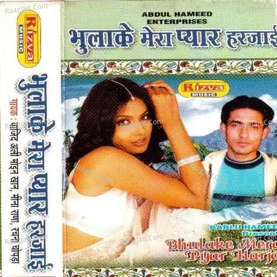 Bhulake Mera Pyar  - Vajid Khan