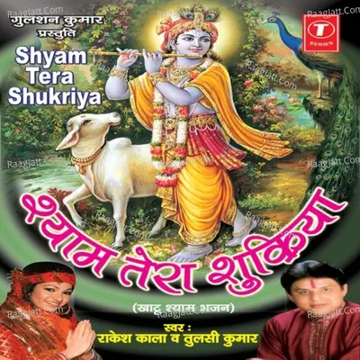 Shyam Tera Shukriya - Tulsi Kumar