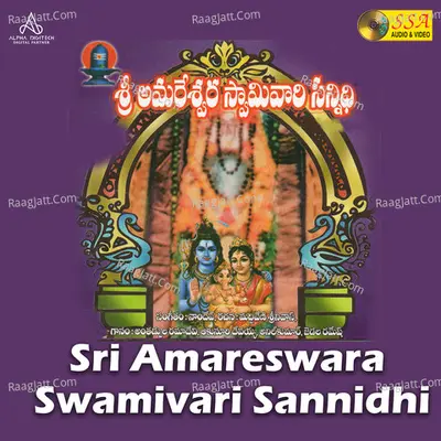 Sri Amareswara Swamivari Sannidhi - 