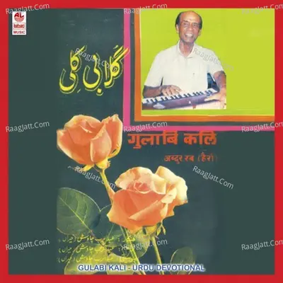 Gulabi Kali - Abdurrab Chaush