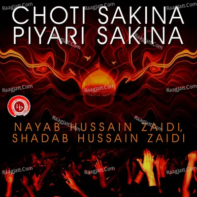 Choti Sakina Piyari Sakina - Nayab Hussain Zaidi