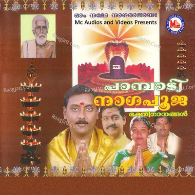 Pambadi Nagapooja - Ganesh Sundaram