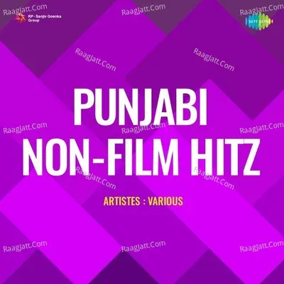 Punjabi Non - Film Hitz Poster