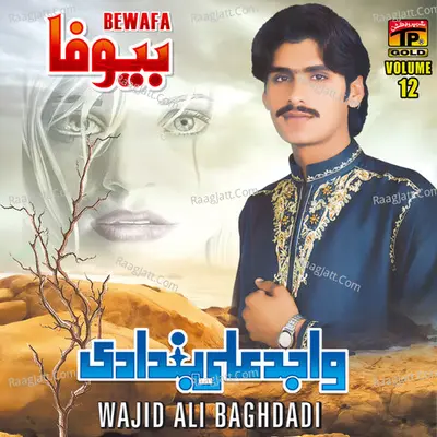 Bewafa, Vol. 12 - Wajid Ali Baghdadi