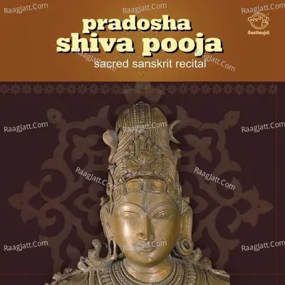 Pradosha Shiva Pooja - Dr.R. Thiagarajan