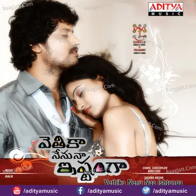 Vethika Nenu Naa Ishtanga Poster