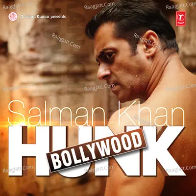 Salman Khan Bollywood Hunk Poster