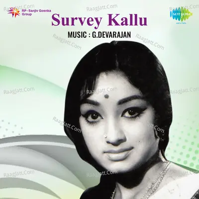 Survey Kallu - Drama Poster