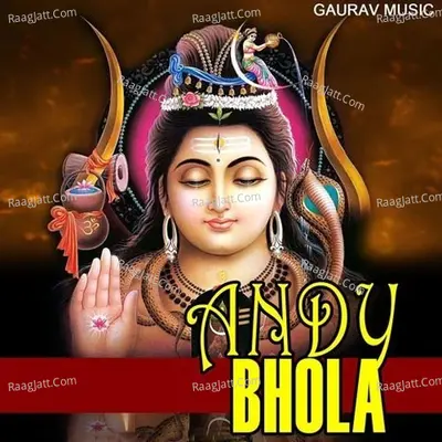 Andy Bhola Poster