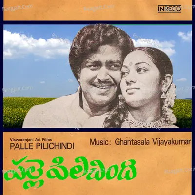 Palle Pilichindi Poster