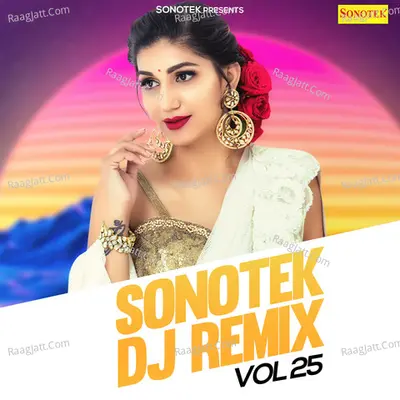 Sonotek DJ Remix Vol 25 Poster