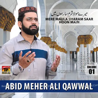 Mera Maula Sharam Saar Hoon Main, Vol. 1 - Abid Rauf Qadri