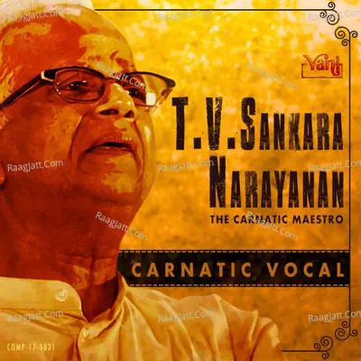 T.V. Sankaranarayanan - The Carnatic Maestro - T.V.Sankara Narayanan