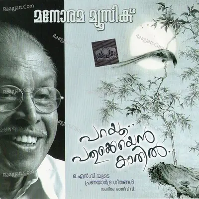 Parayoo Pathukkeyen Kathil - Vidhu Prathap