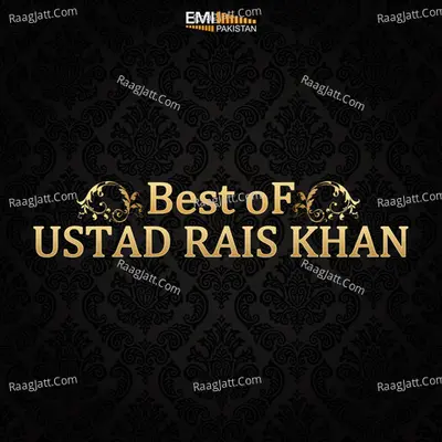 Best of Ustad Rais Khan - Rais Khan