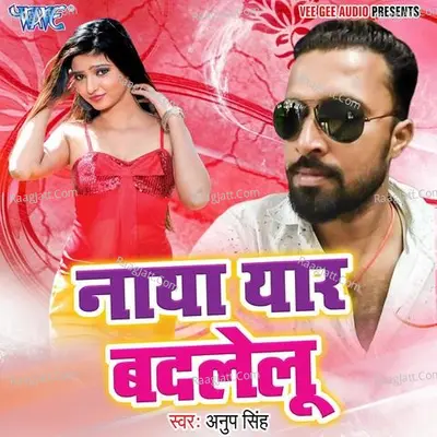 Naya Yaar Badlelu Poster