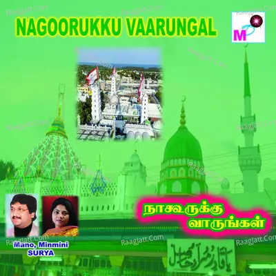 Nagoorukku Vaarungal - Minmini