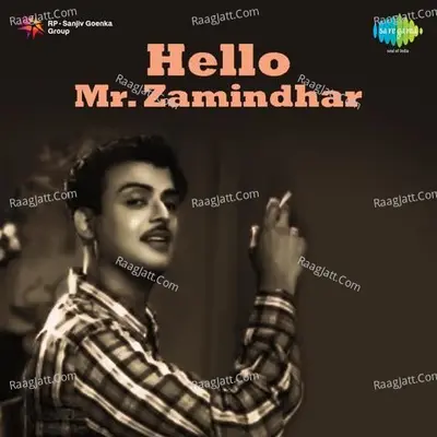 Hallo Mr Zamindar Poster