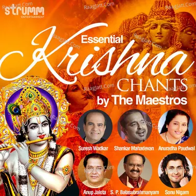 Essential Krishna Chants by the Maestros Poster