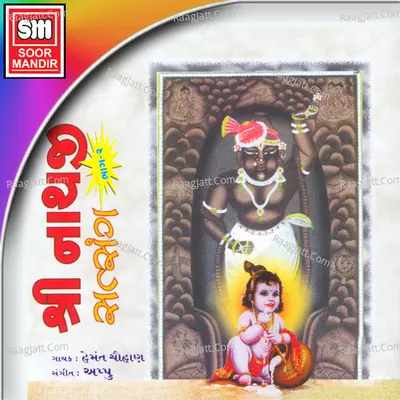 Shree Nathaji Satsang 2 - Hemant Chauhan