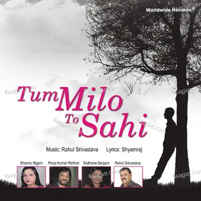 Tum Milo To Sahi Poster