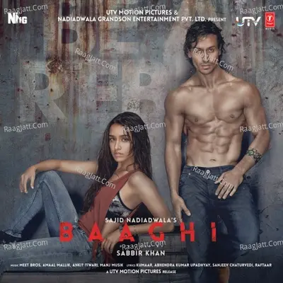 Baaghi Poster