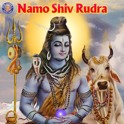 Namo Shiv Rudra Poster