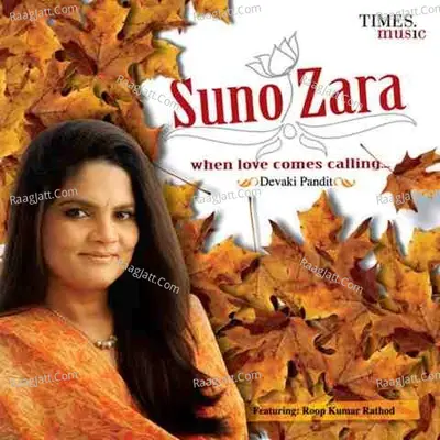 Suno Zara Poster