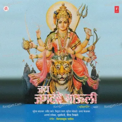 Jai Jagdambe Mauli Poster