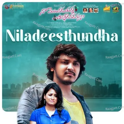 Naa Venta Paduthunna Chinnadevadamma Poster