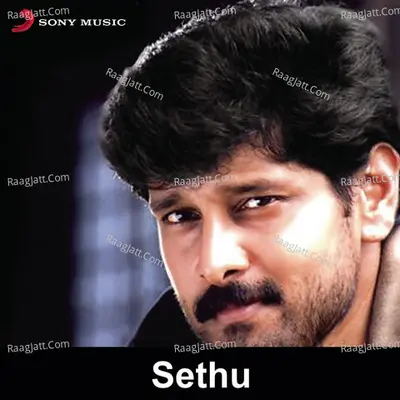 Sethu (Original Motion Picture Soundtrack) - Unni Krishnan