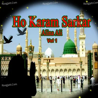 Ho Karam Sarkar, Vol. 1 - Alina Ali