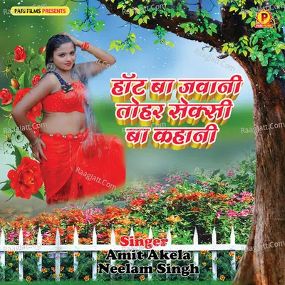 Hot Ba Jawani Tohar Sexy Ba Kahani Poster