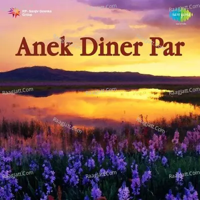 Anek Diner Par - Banani Ghosh