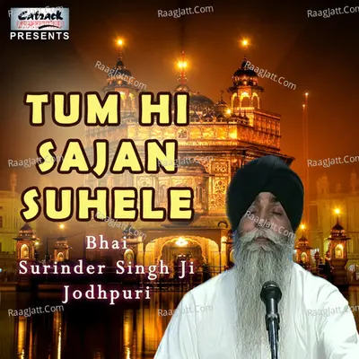 Tum Hi Sajan Suhele Poster