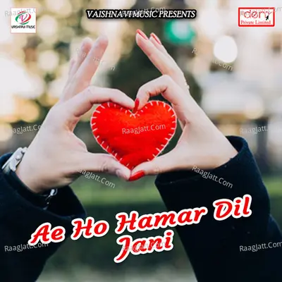 Ae Ho Hamar Dil Jani Poster