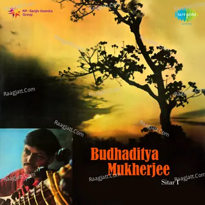 Pt. Budhaditya Mukherjee - Sitar - Pandit Budhaditya Mukherjee