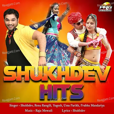 Shukhdev Hits Poster