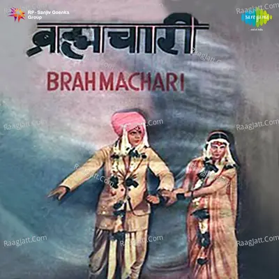 Brahmachari Poster