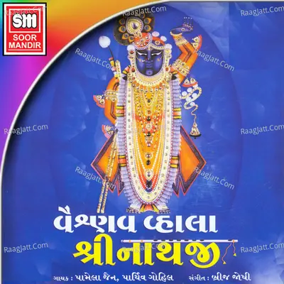 Vaishnav Vhala Shreenathji - Parthiv Gohel