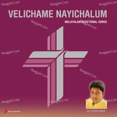 Velichame Nayichalum Poster