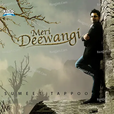 Meri Deewangi Poster