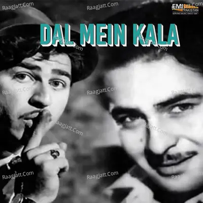 Dal Mein Kala Poster