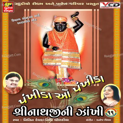 Shrinathji Ni Zakhi Part 11 Poster