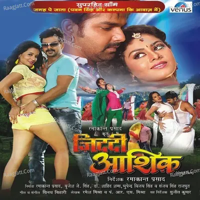 Ziddi Aashiq - Vinay Bihari