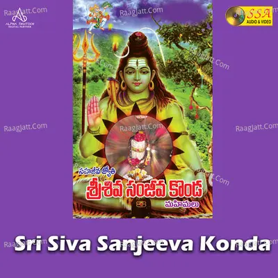 Sri Siva Sanjeeva Konda Poster