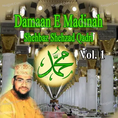 Damaan E Madinah, Vol. 1 - Shehbaz Shehzad Qadri