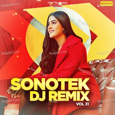 Sonotek DJ Remix Vol 31 Poster