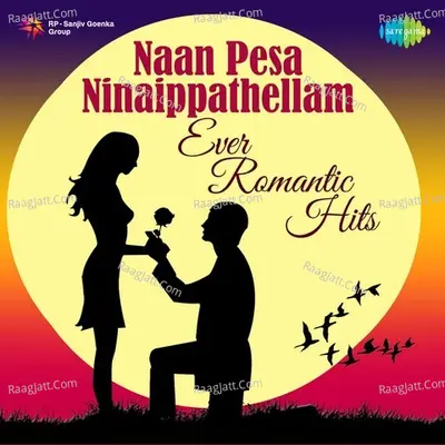 Naan Pesa Ninaippathellam - Ever Romantic Hits - T.M. Soundararajan